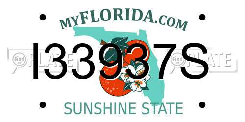 I33937S Florida License Plate