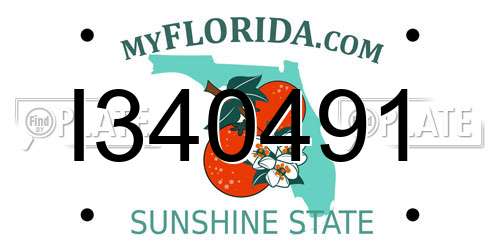 I340491 Florida License Plate