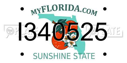 I340525 Florida License Plate