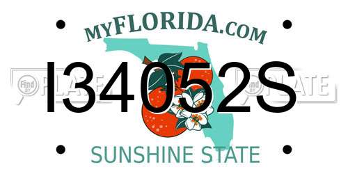 I34052S Florida License Plate