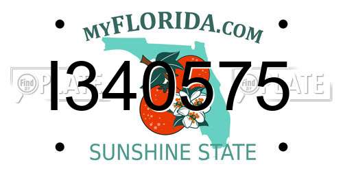 I340575 Florida License Plate