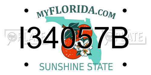I34057B Florida License Plate