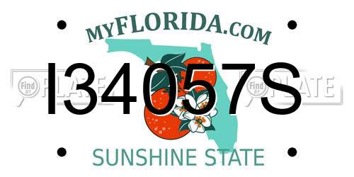 I34057S Florida License Plate