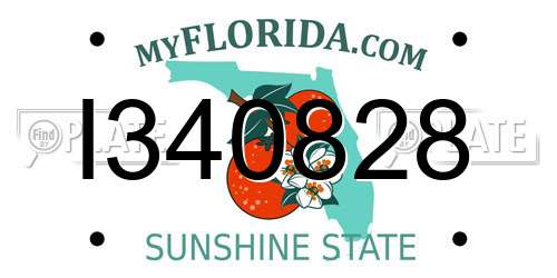 I340828 Florida License Plate