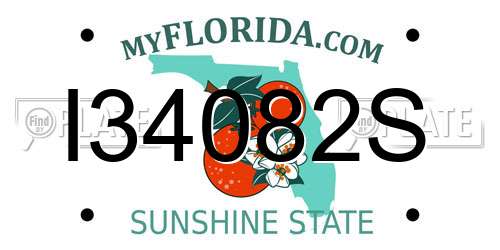 I34082S Florida License Plate