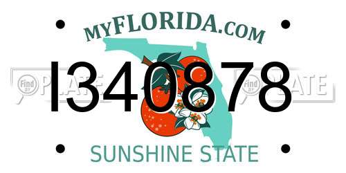 I340878 Florida License Plate