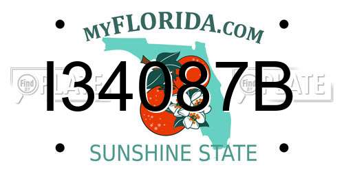 I34087B Florida License Plate