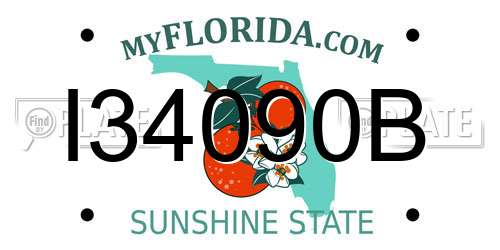 I34090B Florida License Plate