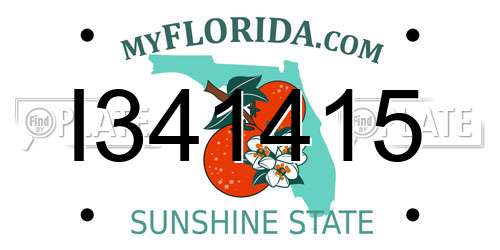 I341415 Florida License Plate