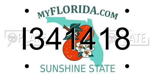 I341418 Florida License Plate
