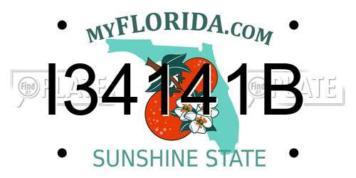 I34141B Florida License Plate