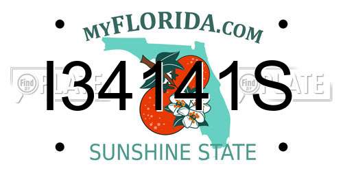 I34141S Florida License Plate