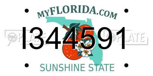 I344591 Florida License Plate