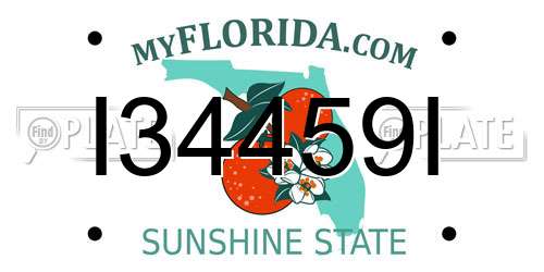 I34459I Florida License Plate