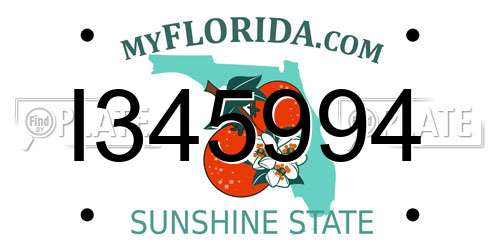 I345994 Florida License Plate