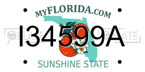 I34599A Florida License Plate