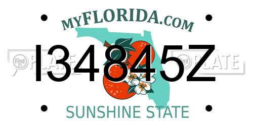 I34845Z Florida License Plate