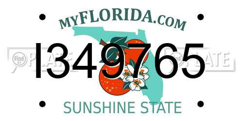 I349765 Florida License Plate