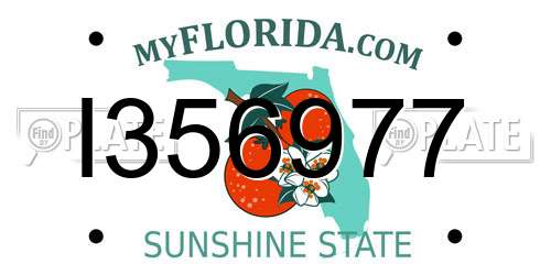 I356977 Florida License Plate