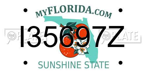 I35697Z Florida License Plate