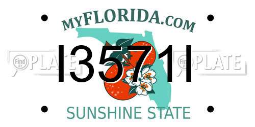I3571I Florida License Plate