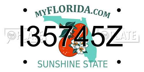 I35745Z Florida License Plate