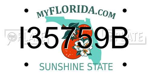 I35759B Florida License Plate