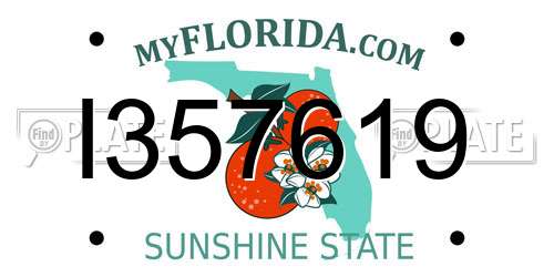 I357619 Florida License Plate