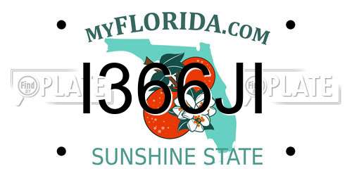 I366JI Florida License Plate