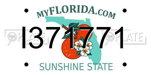 I371771 Florida License Plate
