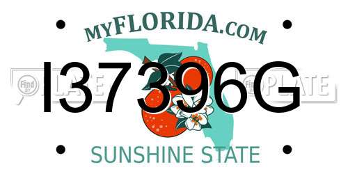 I37396G Florida License Plate