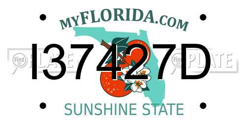 I37427D Florida License Plate