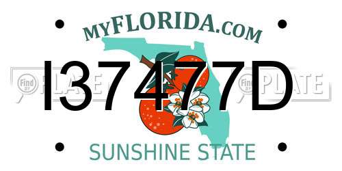 I37477D Florida License Plate