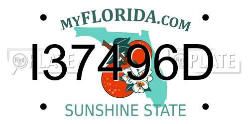 I37496D Florida License Plate