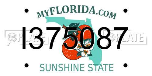 I375087 Florida License Plate