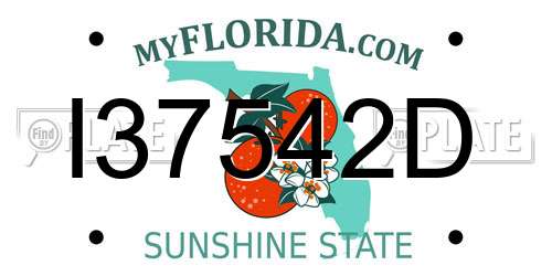 I37542D Florida License Plate