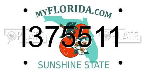 I375511 Florida License Plate