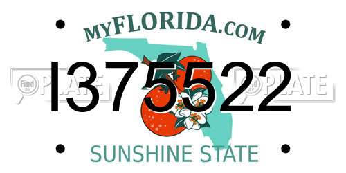 I375522 Florida License Plate