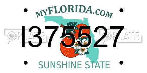 I375527 Florida License Plate