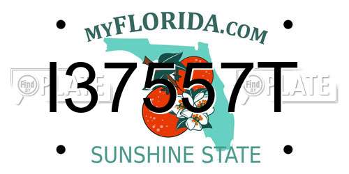 I37557T Florida License Plate