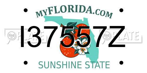 I37557Z Florida License Plate