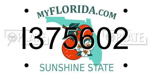 I375602 Florida License Plate
