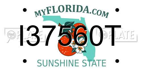 I37560T Florida License Plate