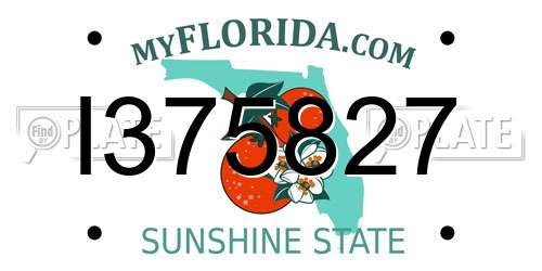 I375827 Florida License Plate