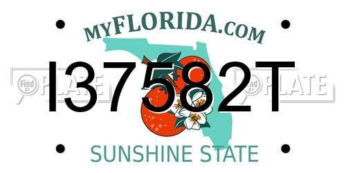 I37582T Florida License Plate