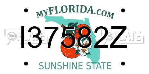 I37582Z Florida License Plate