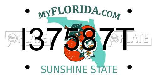 I37587T Florida License Plate