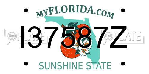 I37587Z Florida License Plate