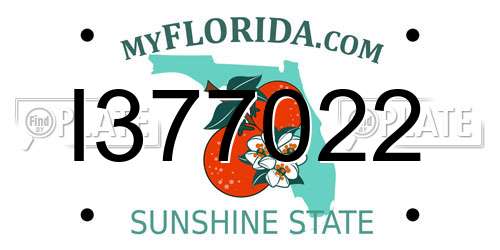 I377022 Florida License Plate