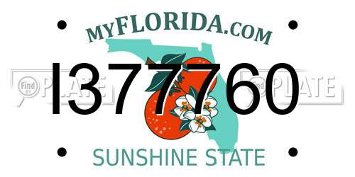 I377760 Florida License Plate